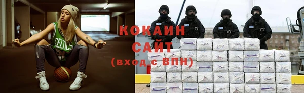 ECSTASY Богданович