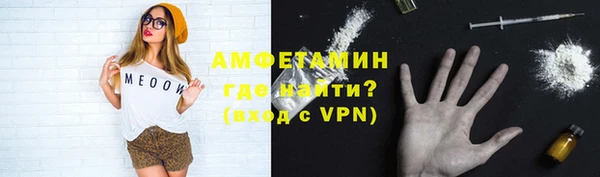 молекула духа Богородицк