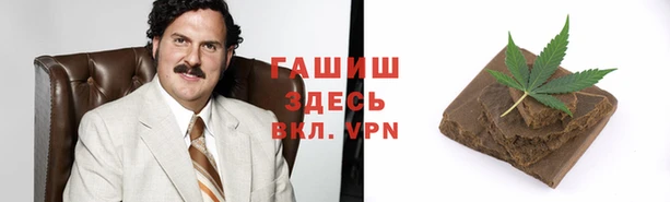 молекула духа Богородицк