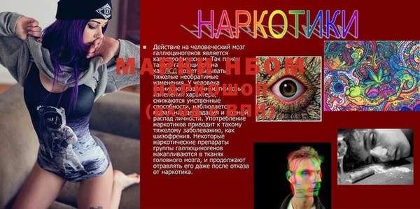 ECSTASY Богданович