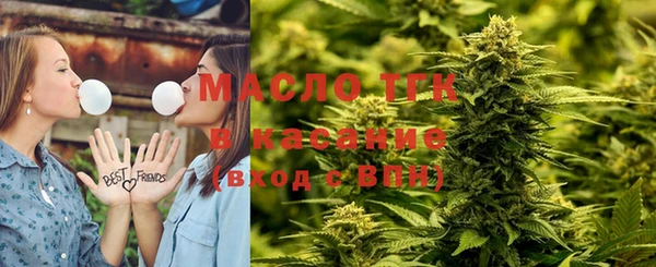 молекула духа Богородицк