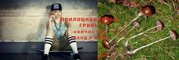 молекула духа Богородицк
