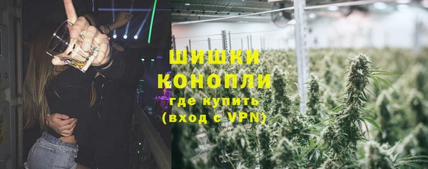 ECSTASY Богданович